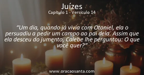 Juízes 1:14
