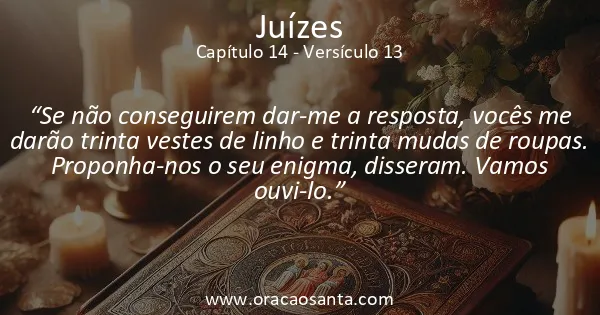 Juízes 14:13