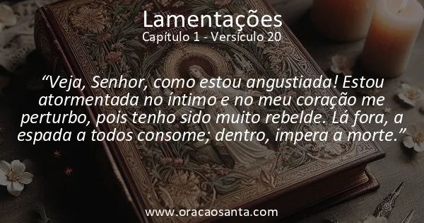 Lamentações 1:20