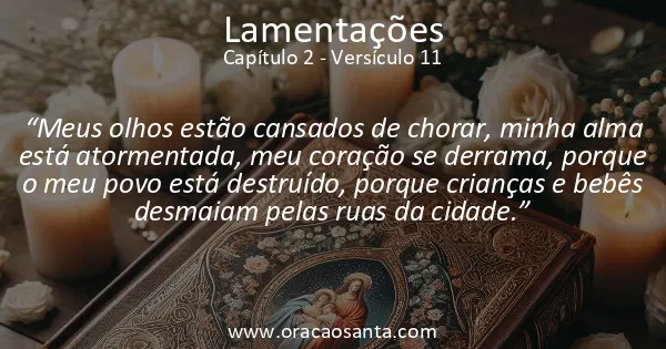 Lamentações 2:11