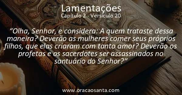 Lamentações 2:20