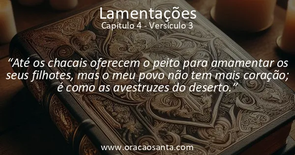 Lamentações 4:3