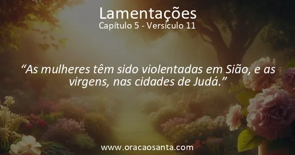 Lamentações 5:11