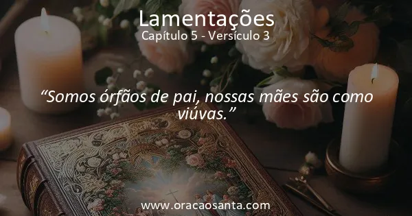 Lamentações 5:3