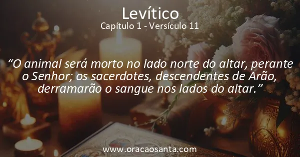 Levítico 1:11