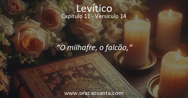 Levítico 11:14