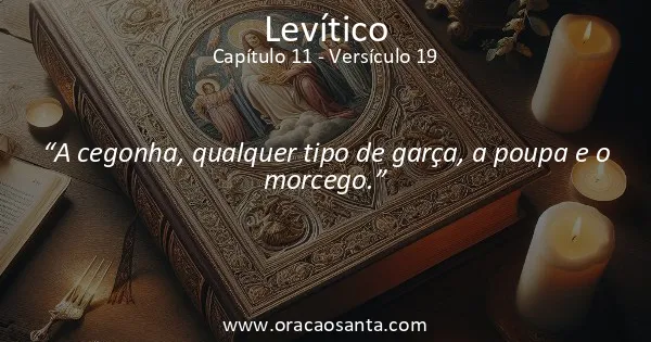 Levítico 11:19
