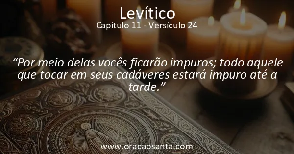 Levítico 11:24