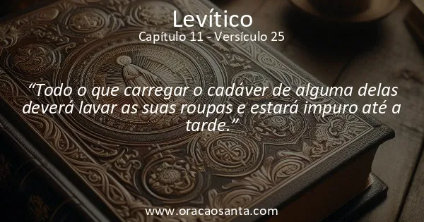 Levítico 11:25