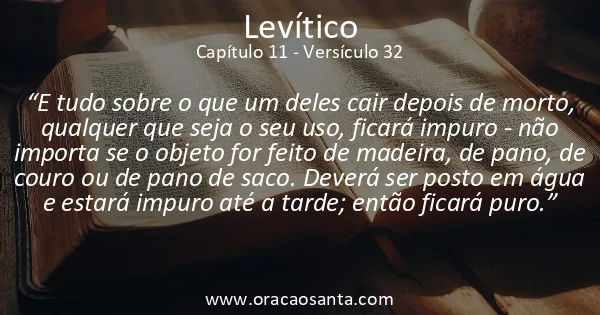 Levítico 11:32