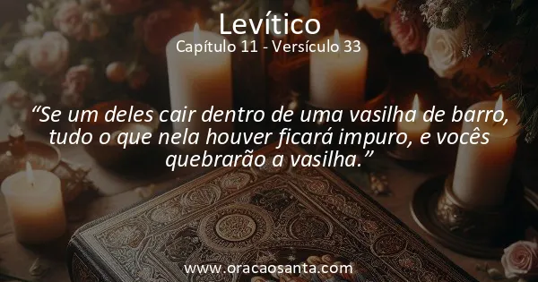 Levítico 11:33