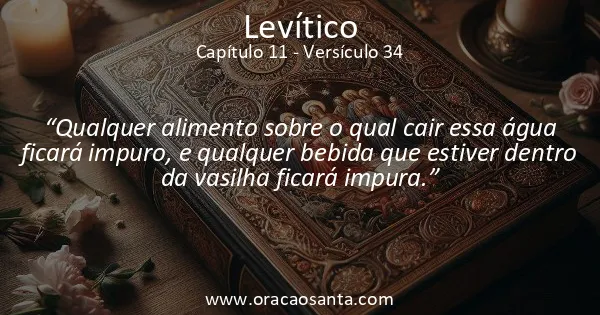 Levítico 11:34
