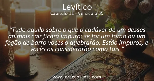 Levítico 11:35