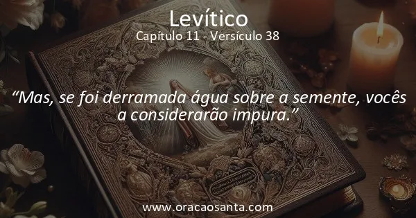 Levítico 11:38