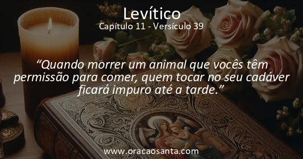 Levítico 11:39
