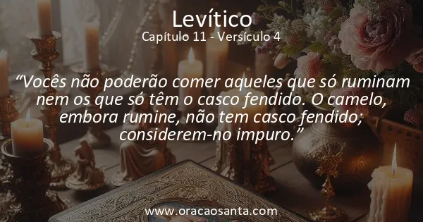 Levítico 11:4