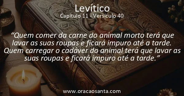 Levítico 11:40