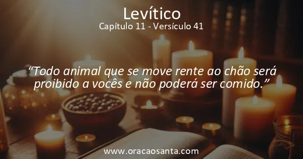 Levítico 11:41