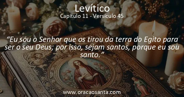 Levítico 11:45