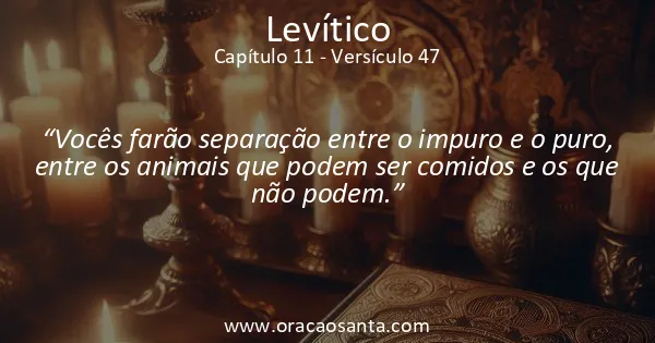 Levítico 11:47