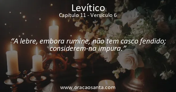 Levítico 11:6