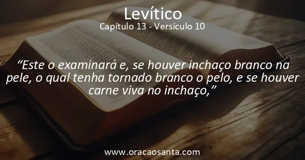 Levítico 13:10