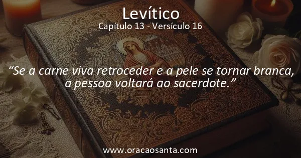Levítico 13:16