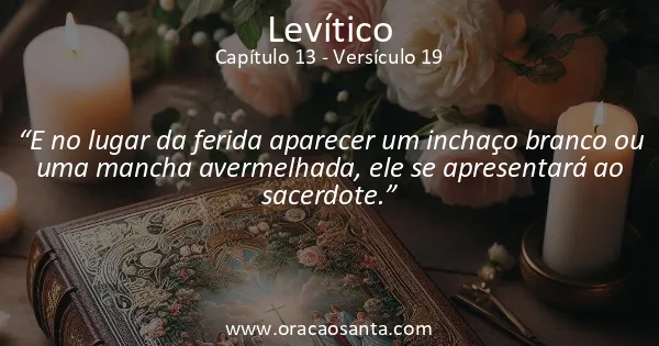 Levítico 13:19
