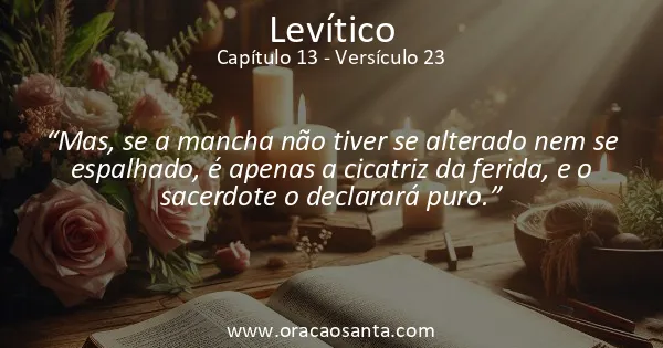 Levítico 13:23