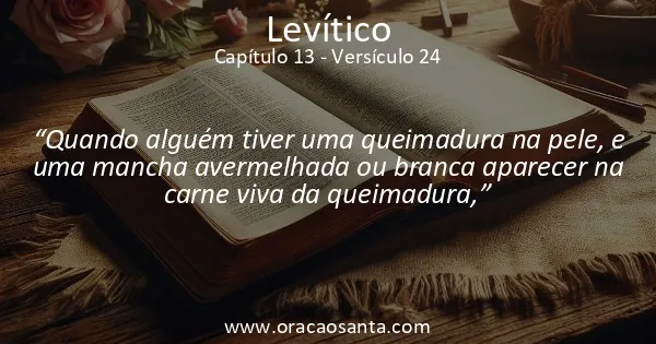 Levítico 13:24