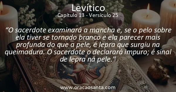 Levítico 13:25