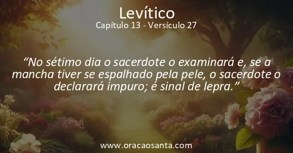 Levítico 13:27