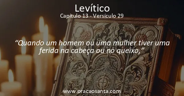 Levítico 13:29