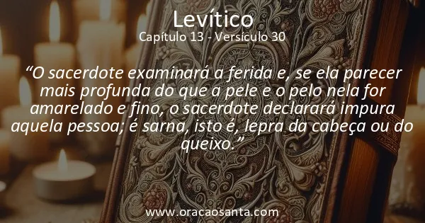 Levítico 13:30