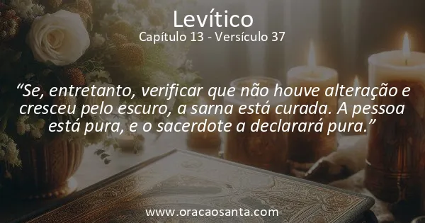 Levítico 13:37