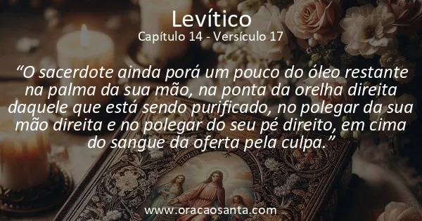 Levítico 14:17