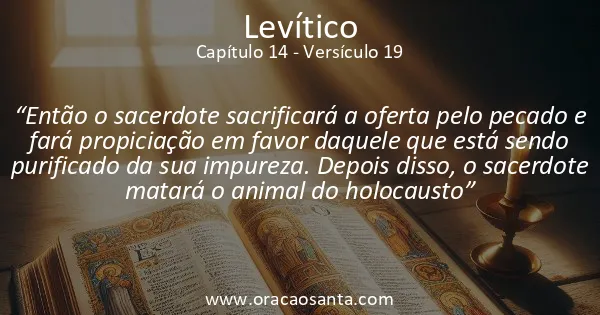 Levítico 14:19