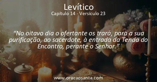 Levítico 14:23