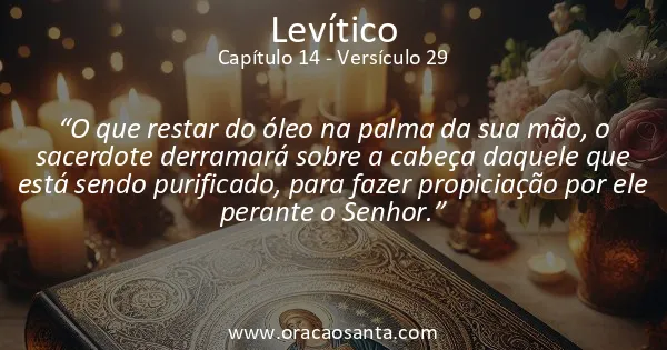 Levítico 14:29