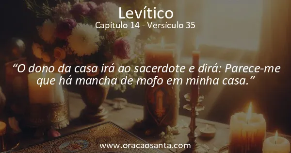 Levítico 14:35