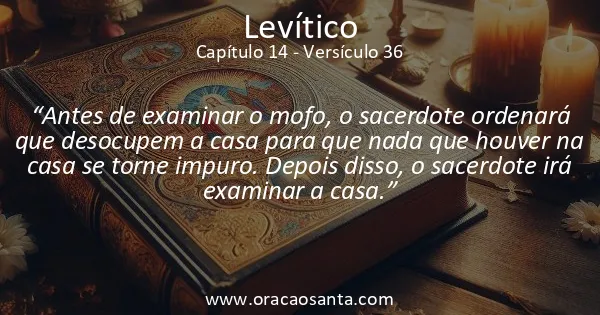 Levítico 14:36