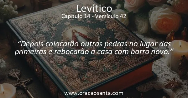 Levítico 14:42