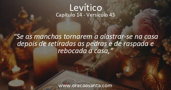 Levítico 14:43