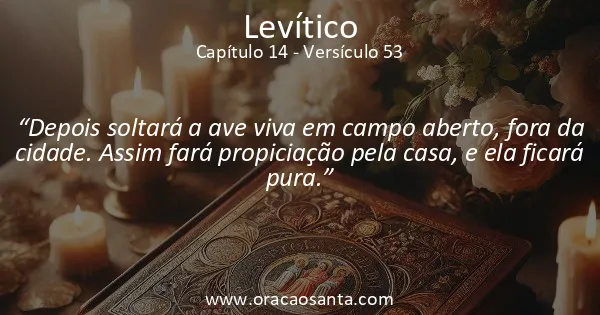 Levítico 14:53