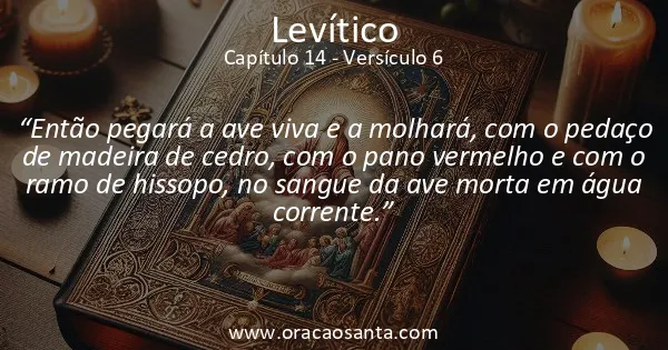 Levítico 14:6