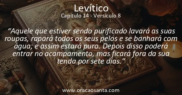 Levítico 14:8