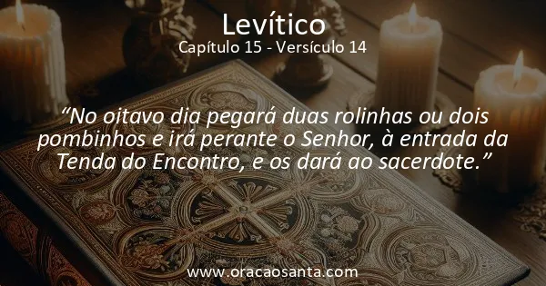Levítico 15:14
