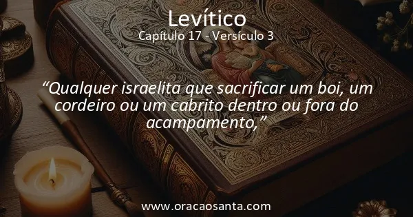 Levítico 17:3