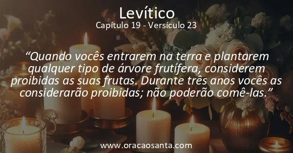 Levítico 19:23