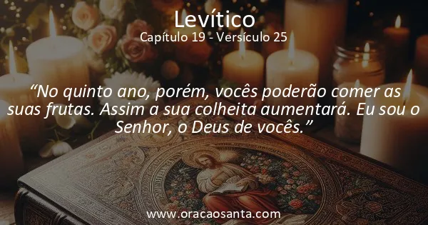 Levítico 19:25